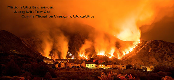 Divine Love tweet media