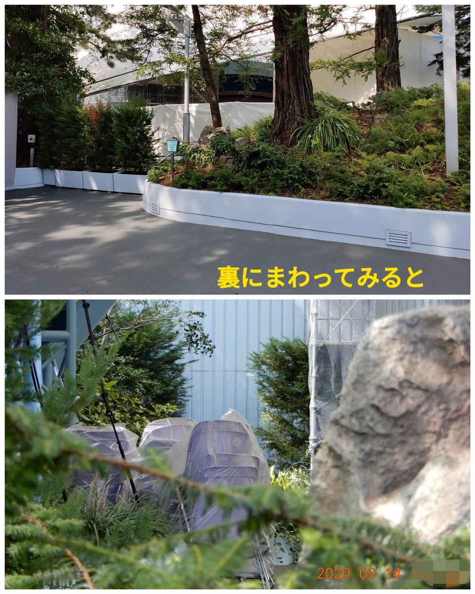 Tdr ディズニー ぷらん 開催場所が気になる 浦安市 来年の成人式もtdrで開催 場所に東京ディズニーリゾートと記載 ランドのショーベースは今現在リハブ中の為シーで開催もありうる それとも新エリアのフォレストシアター またはシアターオーリンズ 或は