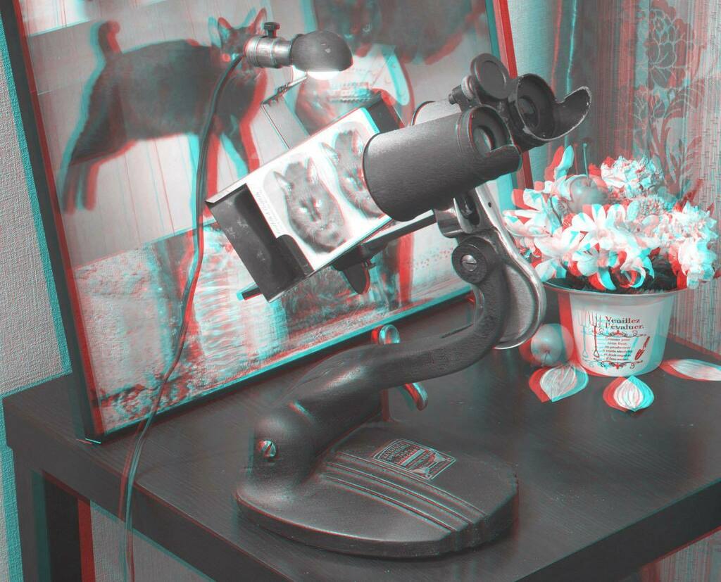 haeckel's tweet photo. One week has passed. #stereoscope #keystonestereoscope #stereocard via Instagram : https://t.co/ahWdGAHGzT https://t.co/wr5Ypd9pI0