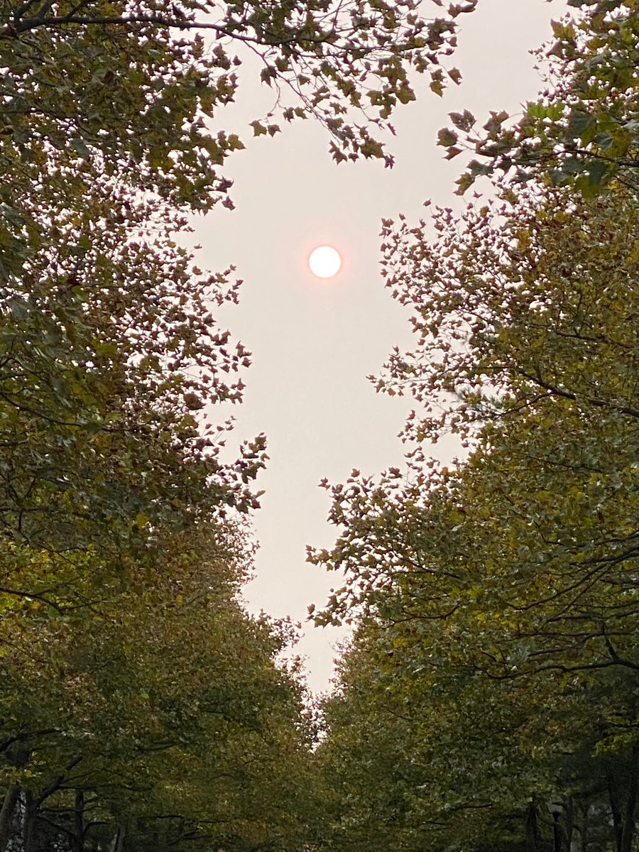 From Gaithersburg this morning.