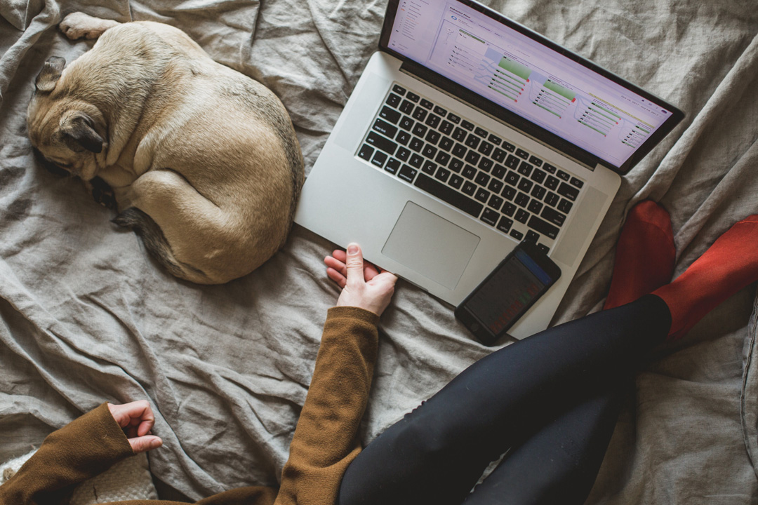ECEnglish's tweet photo. Are you working or studying from home like this these days?! β€
.
.
.
Take a FREE trial EC Virtual lesson to find out what our online English course is like.
π https://t.co/2car6caMiu
#ECVirtual https://t.co/63xhU8Hlul