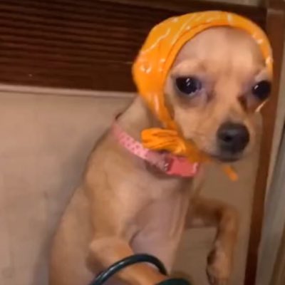 Fngoddess101's tweet photo. #NewProfilePic https://t.co/PeBZLWLiTd