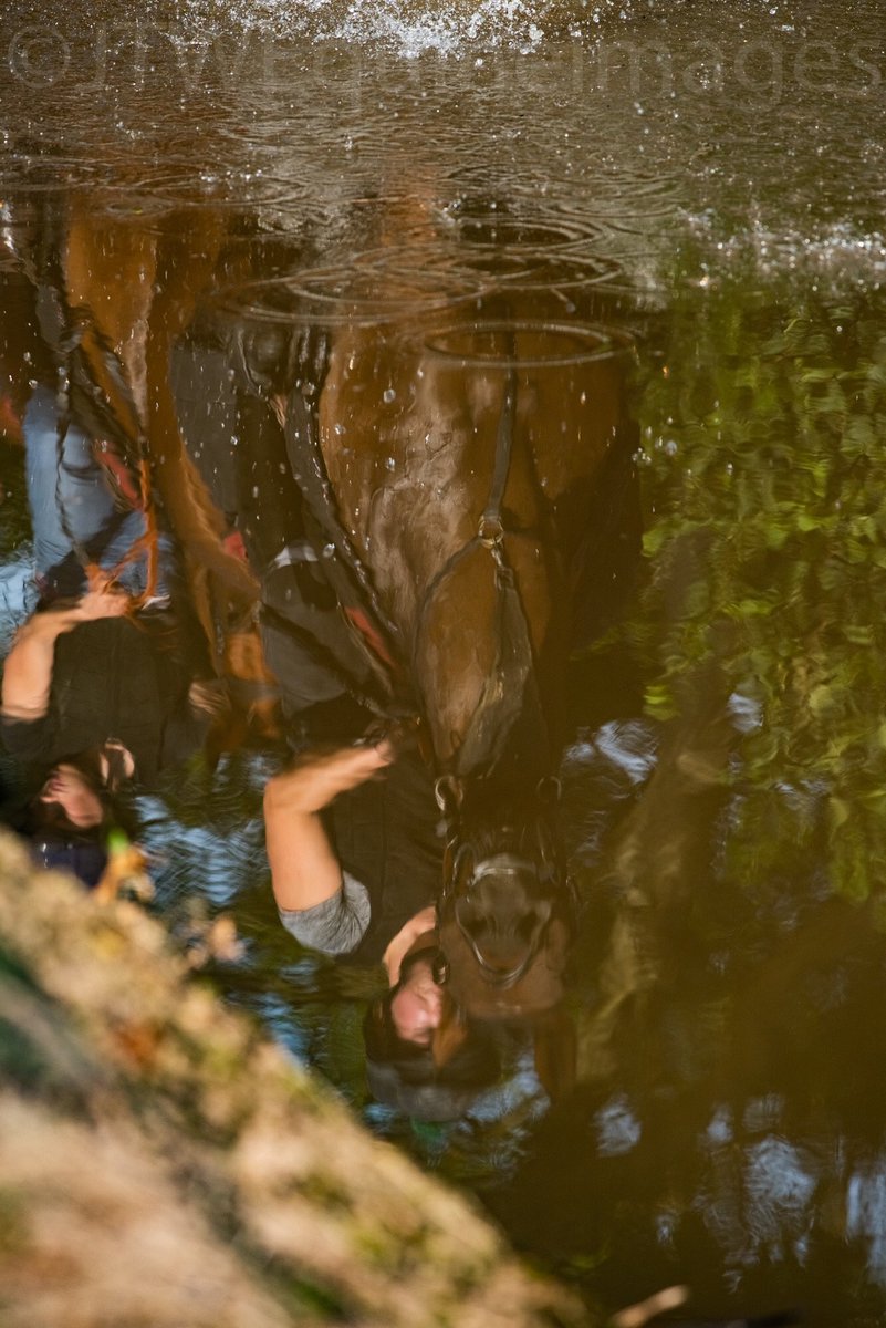 JTWEquineImag's tweet photo. @BeckyBrisbourne on the @DevaracingGroup owned Pilgrim Soul leads third lot through the water run at @AllwoodSj yesterday morning.
 #gallops #reflection #water #ripples #morning #latesummer #nikonpro https://t.co/lqcYTbKedE