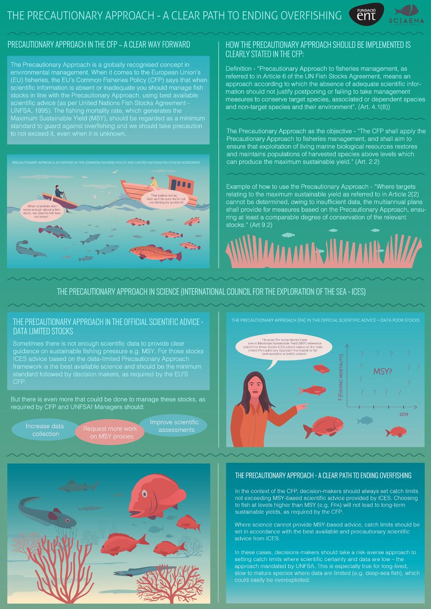 BirdsMatter_ie's tweet photo. The Precautionary Approach to fisheries management makes sense! It protects data poor stocks from the risk of overfishing #CFPreality #RespectTheLimit #EndOverfishing https://t.co/TsUjK1w36w