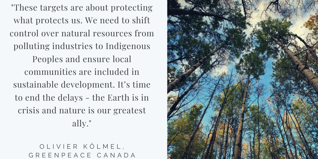 Nature is our best defense against climate breakdown, hunger, and new pandemics. 
Yet, only 15% of the world’s forests remain intact. 
If we protect nature, nature will protect us. 
Our reaction: greenpeace.org/canada/en/pres…

#GBO5 #Biodiversity2020 #cdnpoli #COVID19