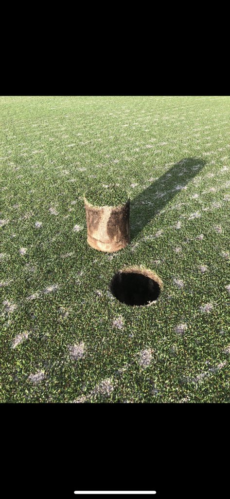 Chase Sbarro tweet media