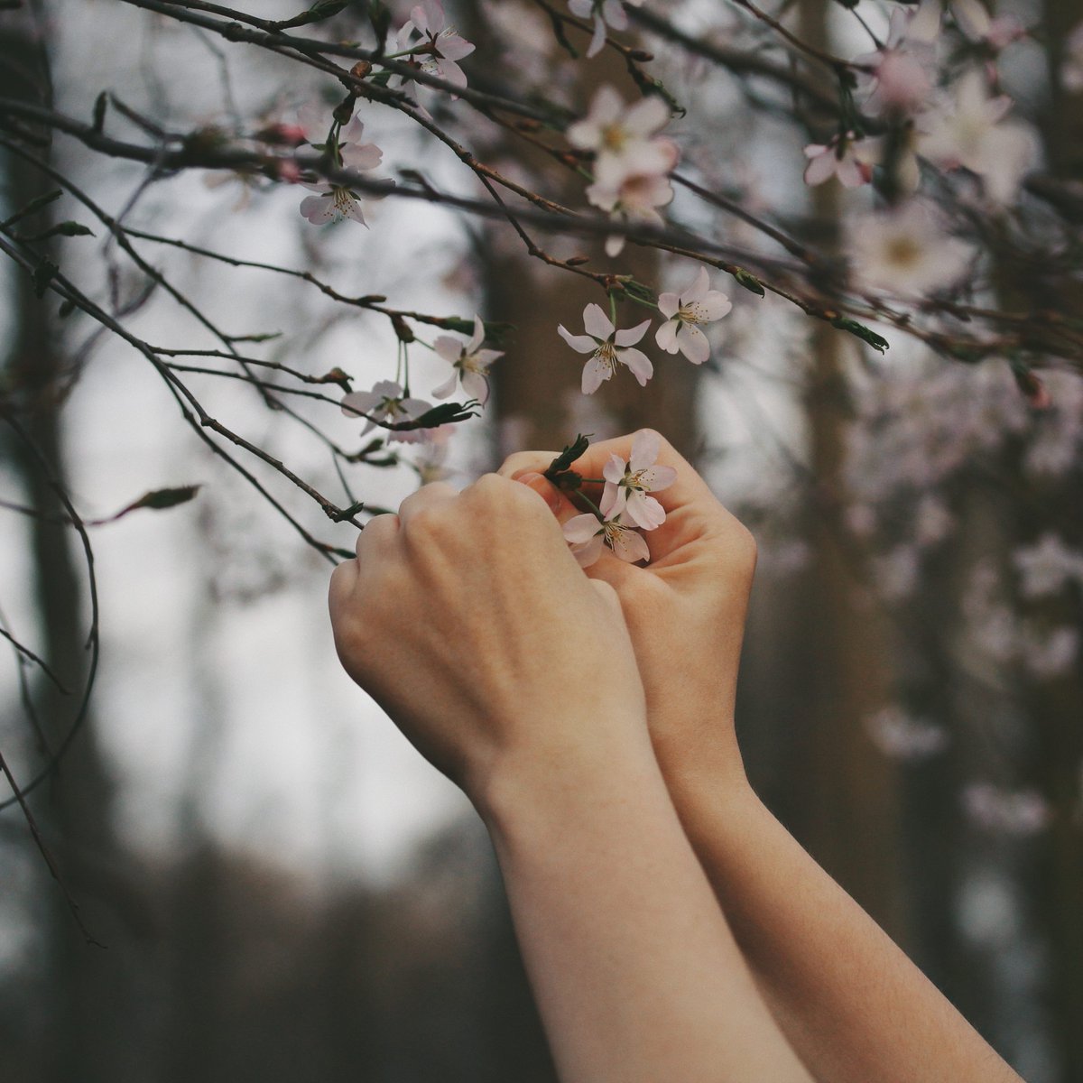 Touchstone tweet media