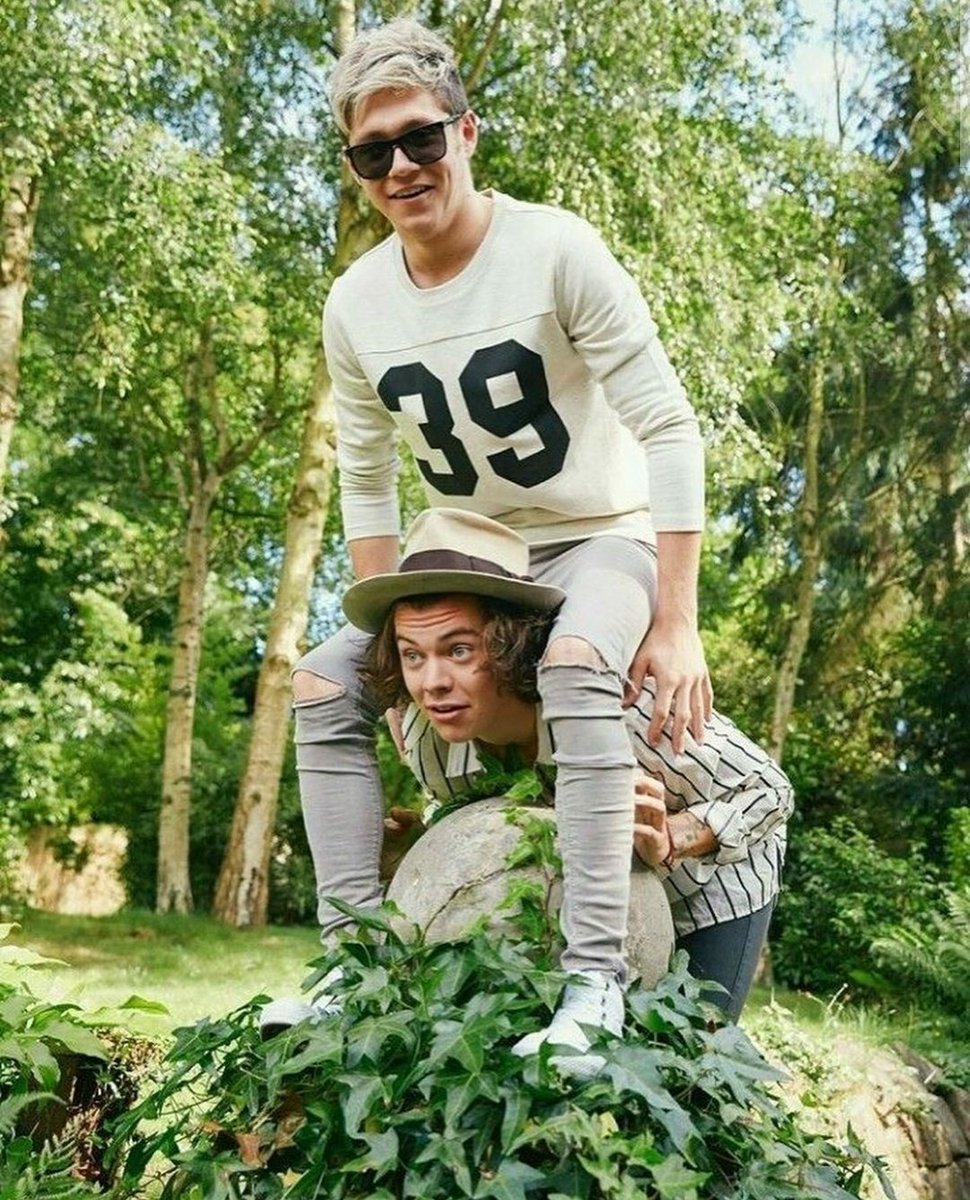 narry being one of my favourite friendships: a thread that should be longer but you get the point :)