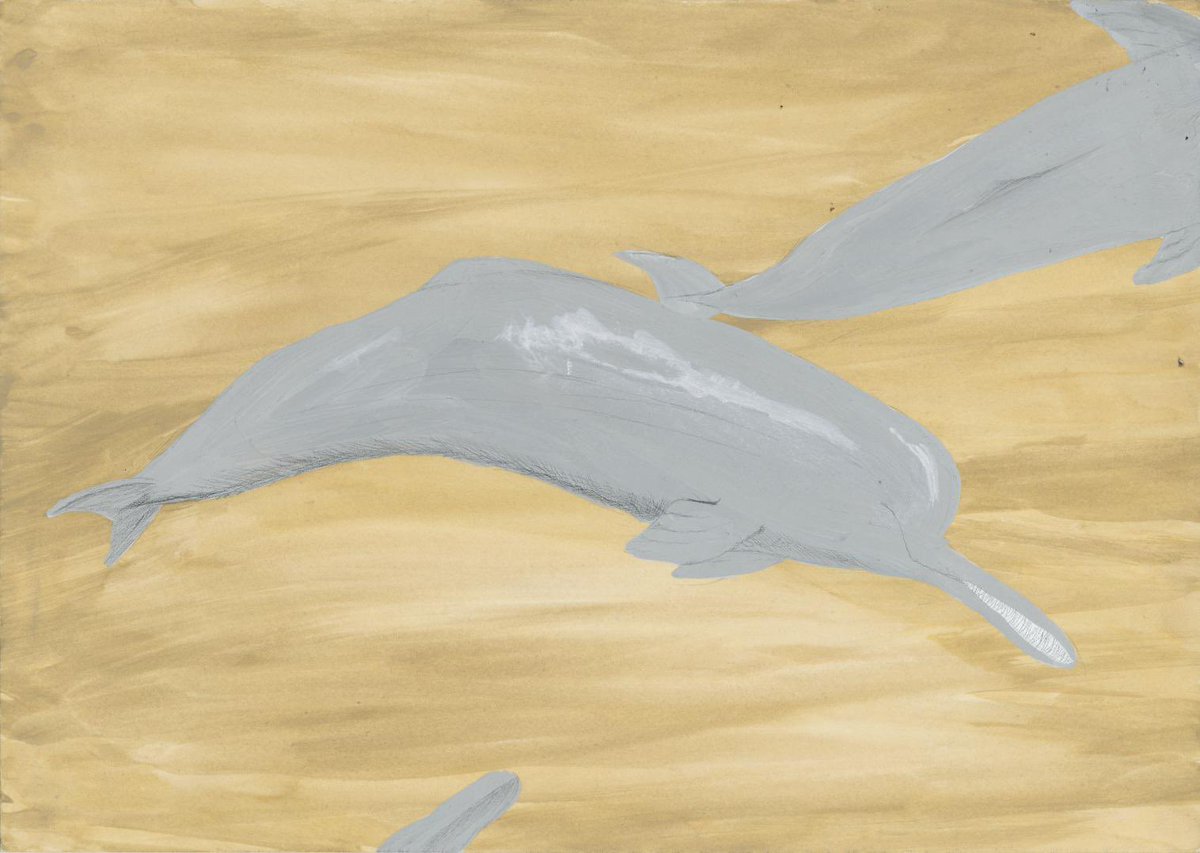 アマゾンカワイルカ Lang Ja Twitter Search