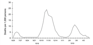 2 10: Ivor suggests this 'immunity' pattern is what happened with Spanish Flu epidemics - but neglects to add the second wave, which kind of contradicts that immunity theory, so here it is side by side.