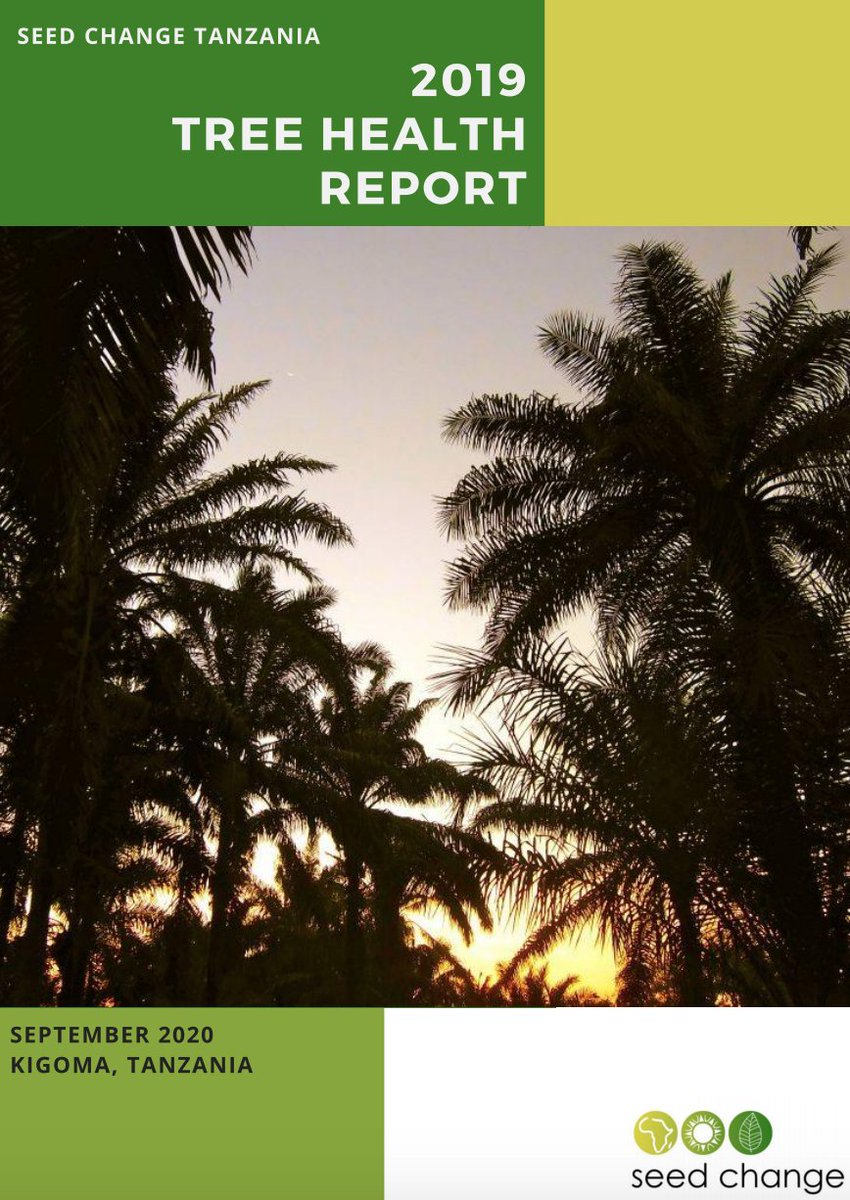 SeedChangeTZ's tweet photo. Our 2019 Tree Health Report is out! Read it here for a close look at the state of our smallholders' tenera oil palm trees in Kigoma and how they compare to industry benchmarks: https://t.co/X84AjyR1ha https://t.co/kKJ7R4GMLU