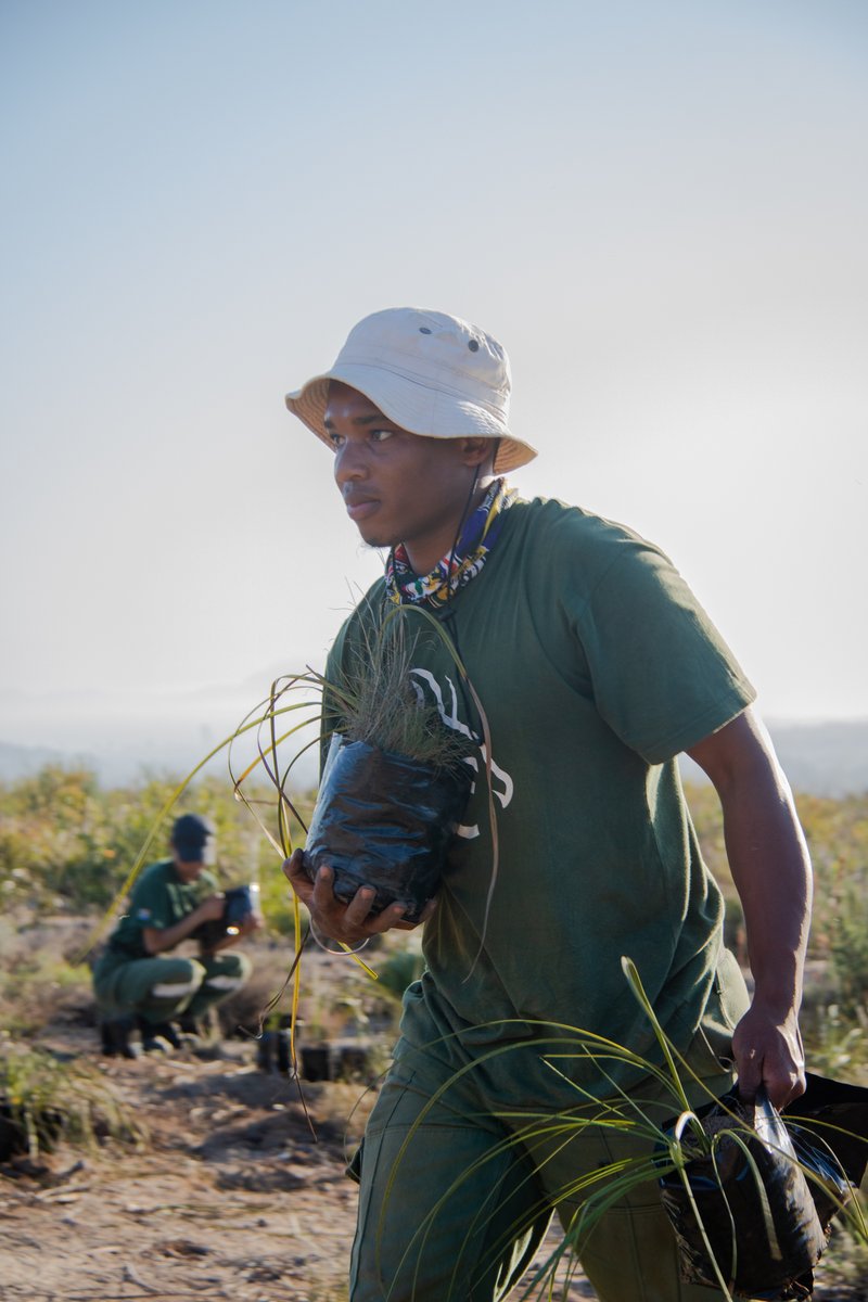 NCCEnviron's tweet photo. At work with NCC

Plant Search and rescue is not just digging up and moving species. All species moved by NCC are carefully exhumed before being relocated into specifically chosen positions

For more: https://t.co/q1LEjqJ0pI

#conservation #rehabilitation #environment #ecology https://t.co/iKGnkWMmIP