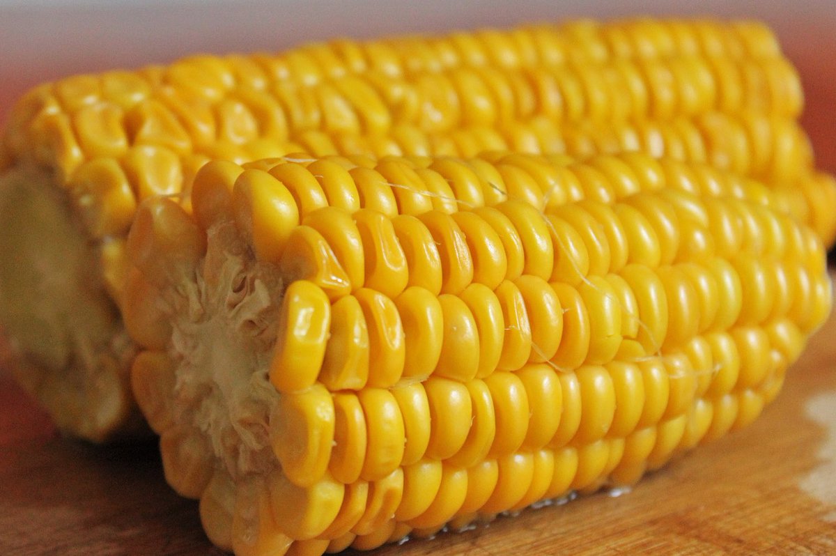 No corny jokes here. Delicious locally grown corn on the cob is in season now. #corn #cornonthecob #sweetcorn