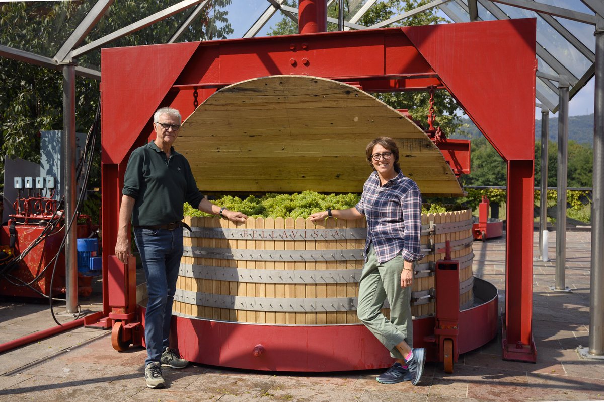 WineNewsIt's tweet photo. Tra le prime in Italia a tagliare #grappoli in @Franciacorta, @BellavistaVino celebra la fine di una #vendemmia 2020 “d’antan” con l’antica #pressemarmonier che permette #spremitura soffice senza frantumazione delle #bucce e resa del 35-40%. Un tributo alle origini della griffe https://t.co/S4sqndsLWB