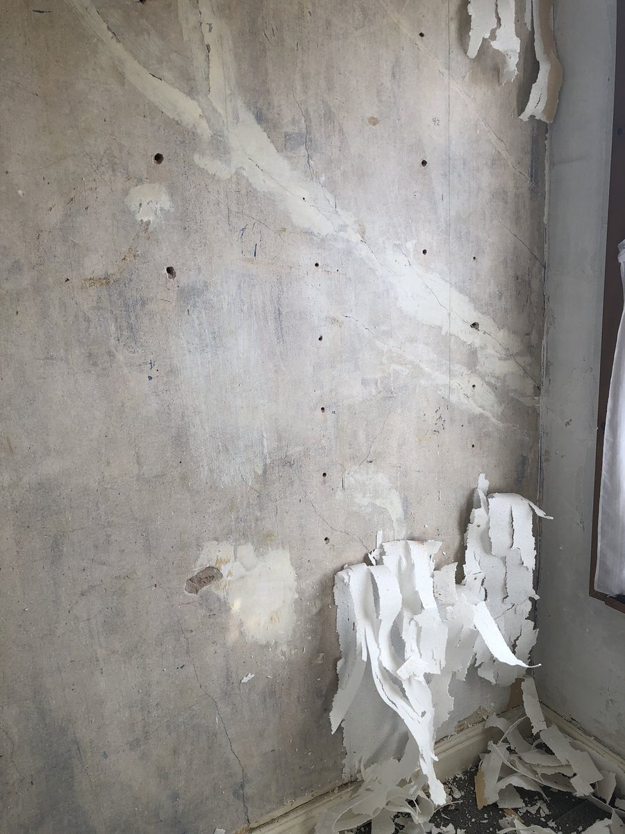 kevbrackenbury's tweet photo. Yes JERRY ‘92 you absolute bellend,why the fuck did you wallpaper  this spare bedroom wall with polystyrene??????
Ffs😂
#bellend #amdecorating #diyfs https://t.co/w3fNoi5RMF