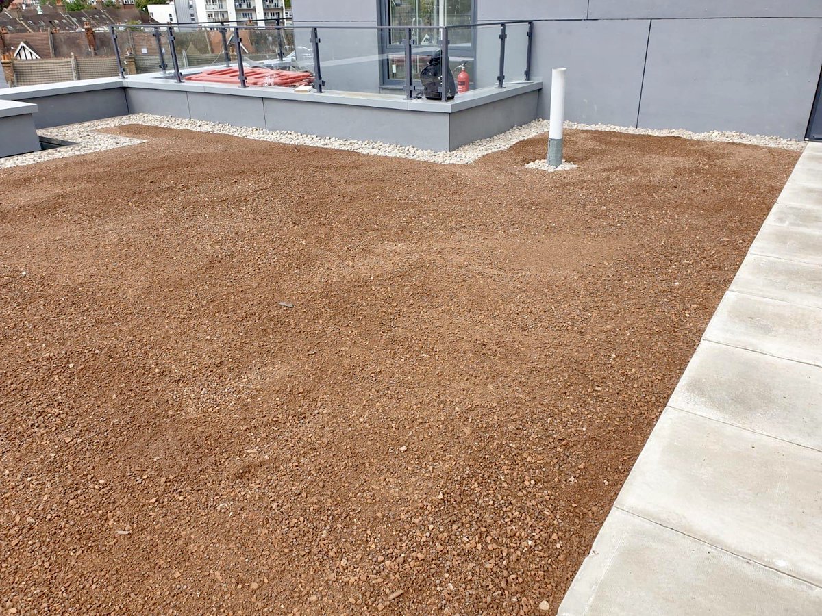 Here are a few more pics from Purley High Street as our team completed the brown roof install with a slabbed access walkway….another happy client to add to the list 👌🏼
#brownroof #roofing #waterproofing #specification