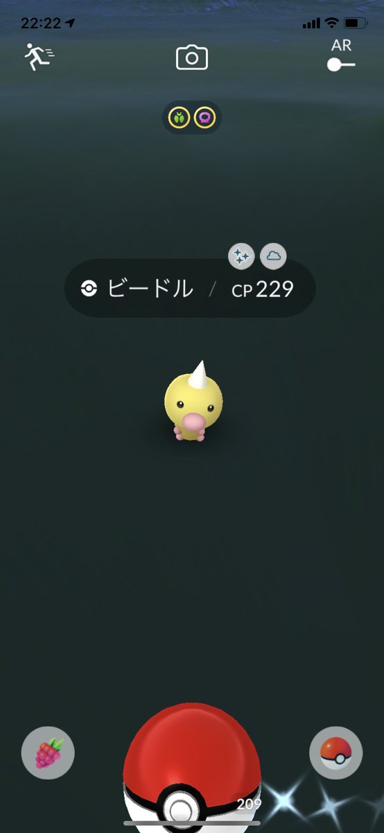 ビードル