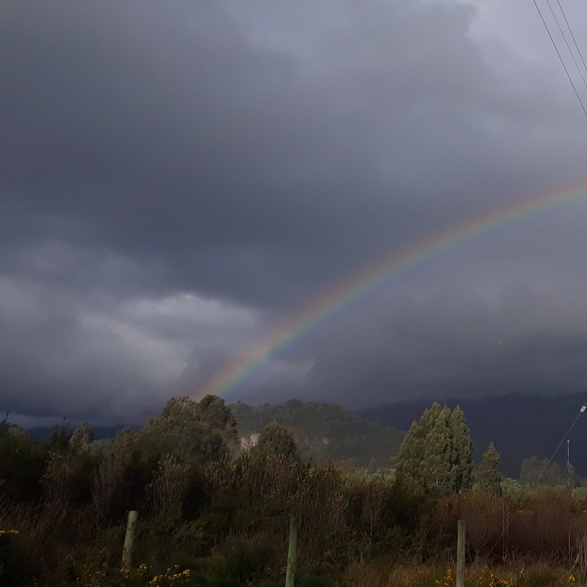 MotaRolan2's tweet photo. @holaeedu Que es lo heavy es filete, aire puro tranquilidad alimentos frescos, la vida en el sur le pega mil patas en la raja a santiago!!! Heavy es no tener donde cultivar tener sequia salir a la esquina y que te quieran colgar... https://t.co/x64jfOyEPC
