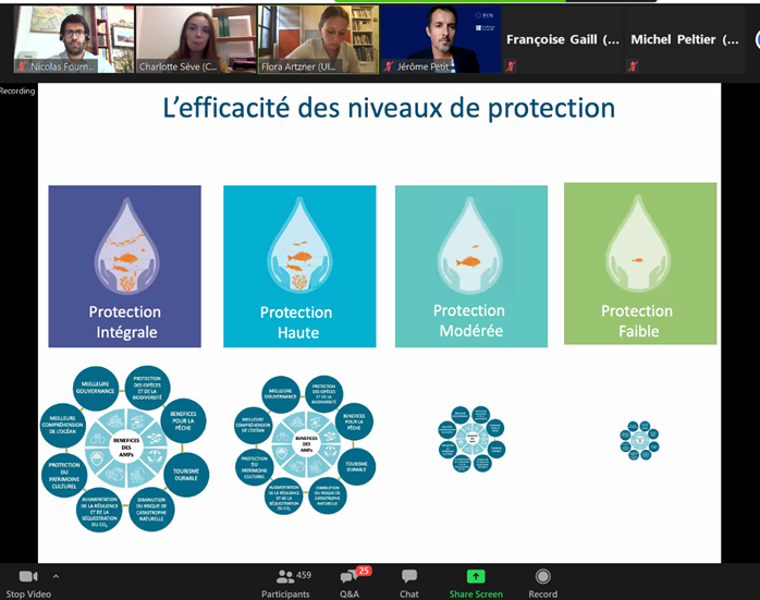 nico_fournier's tweet photo. #webinaire Renforcer la protection de nos #océans
@charlotte_seve illustre clairement les effets résultant de différents niveaux de protection des #AiresMarines sur les ecosystems marins.
>La protection Intégrale et Haute sont les pluls efficaces 💪🐟🦑🦀- #SuperAMP #MPAGuide https://t.co/i8JCknGS3M