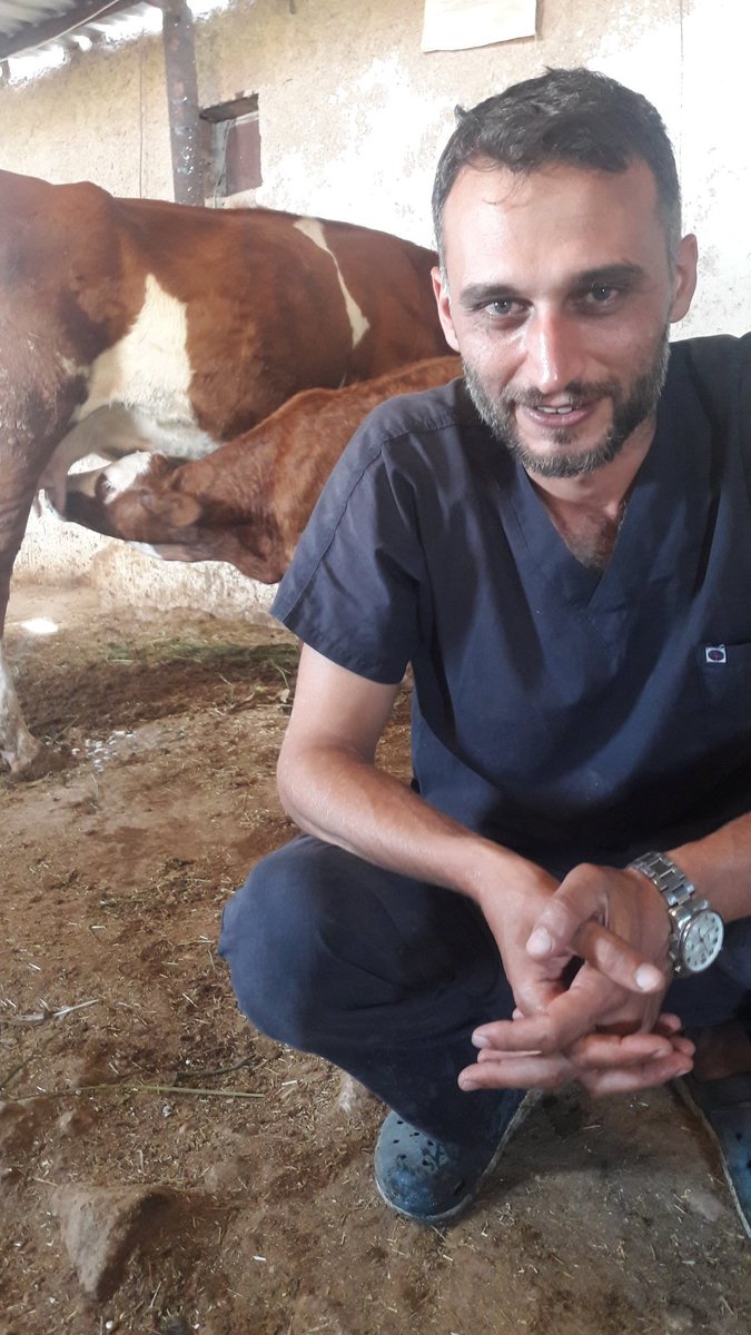 can ayten (@canayten2) on Twitter photo 