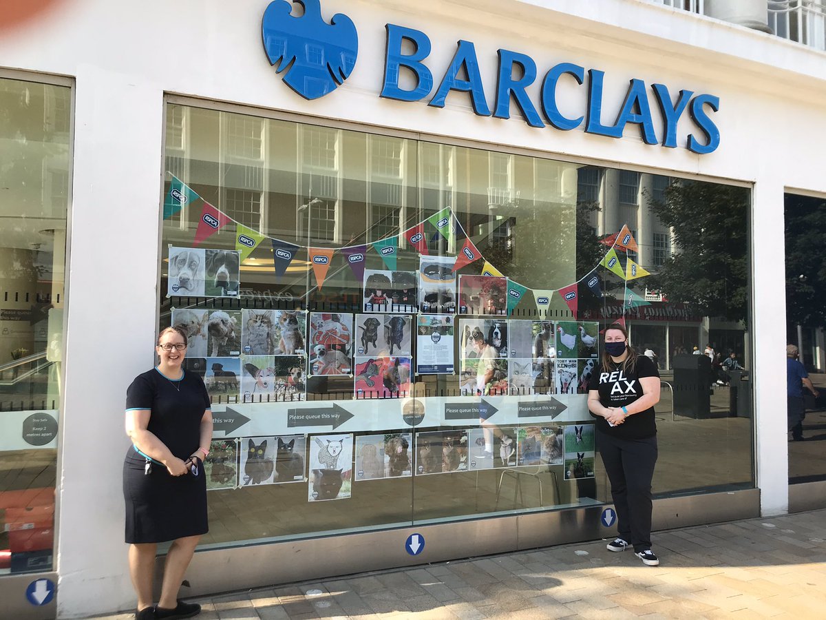 RSPCAHull's tweet photo. Great to see the brilliant @HullBarclays team displaying pictures from our Badly Drawn Pets campaign in their branch window. They’ll be helping us boost this campaign along with the amazing @brycemennell All supporting our fantastic new rebuild. https://t.co/186YkzO0CN https://t.co/uNtjM4uQaf