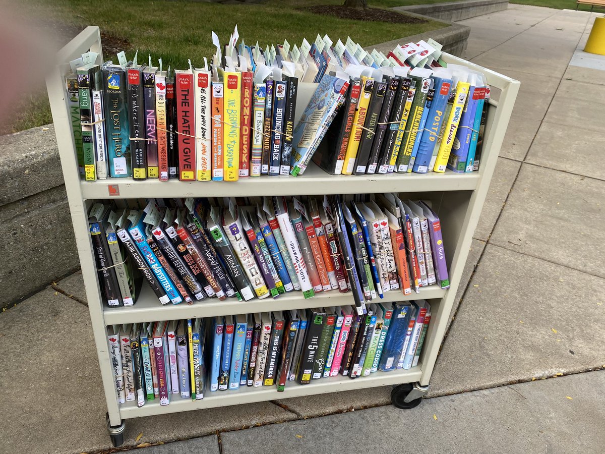 Shannon Anderson tweet media