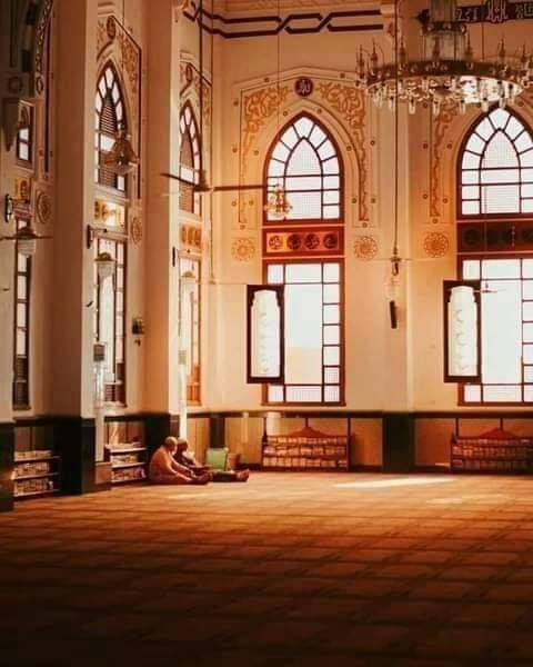 رحم الله اخاً واختً أحيا قلب اخاه بذِكر الله ....
وشدّ على يده وقال:...كفانا تقصيراً فى حقّ الله ..❤