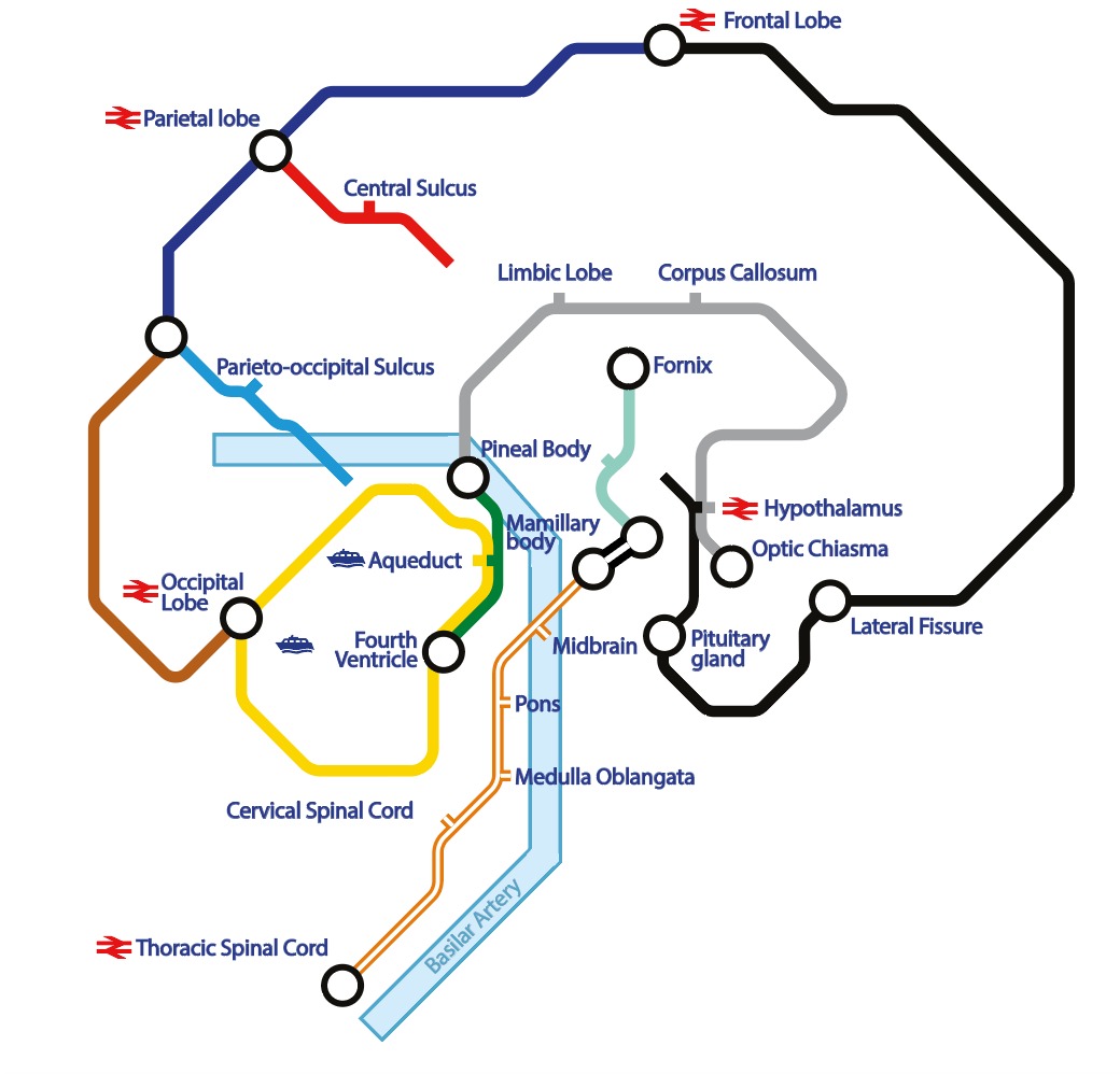 realbrainbook's tweet photo. If you like #London and you like #brain #art, you'll love what @BranGSmith has made... https://t.co/PlHXD1wGuG