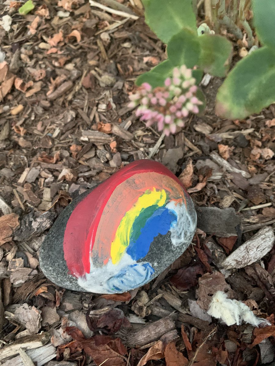 NehiyawSpirit's tweet photo. Day 15 - FNHA Be Active Challenge. More walking this early morning - 6000 steps to start the day and only 4000 more before the end of the day. Love finding painted rocks. Creative kids.
#sweating
#FNHABeActiveChallenge
@fnha https://t.co/N9zvIHtRxN