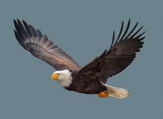 galanobras1's tweet photo. #VolarLibre @galanobras1 https://t.co/mAtPv4o7w7