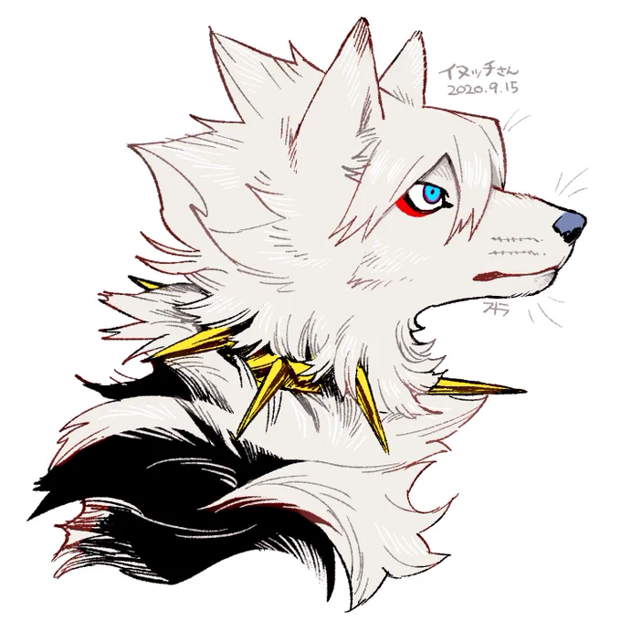 #省エネ獣化システム
犬型っちさん 