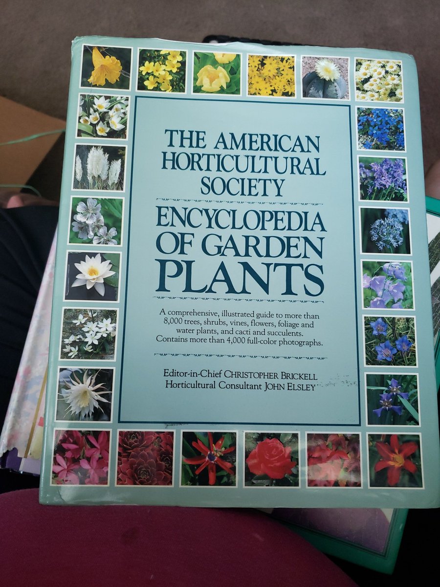 SheHunts89's tweet photo. Who got spoiled for her birthday?! THIS GIRL!#gardening #iloveplants #plantlife https://t.co/xJavJtGro0