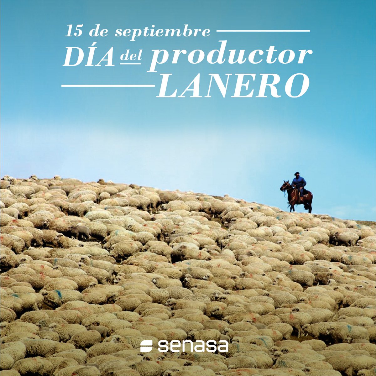 Senasa Argentina tweet media