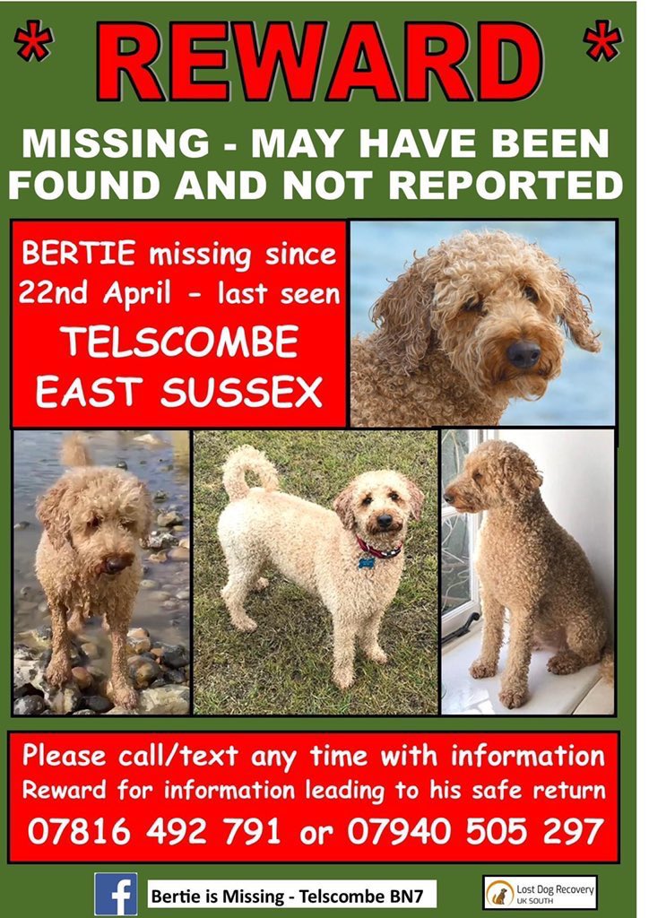 bertie_is's tweet photo. Just to let everyone know that we have finally heard directly from @MPSCroydon 
Unfortunately “dog no 2 “ is not Bertie💔
The micro chip was scanned and located him close to the area of Orpington
Incredible news for his family❤️
for us devastating news💔 #FindBertie https://t.co/Tw8o76fg4T