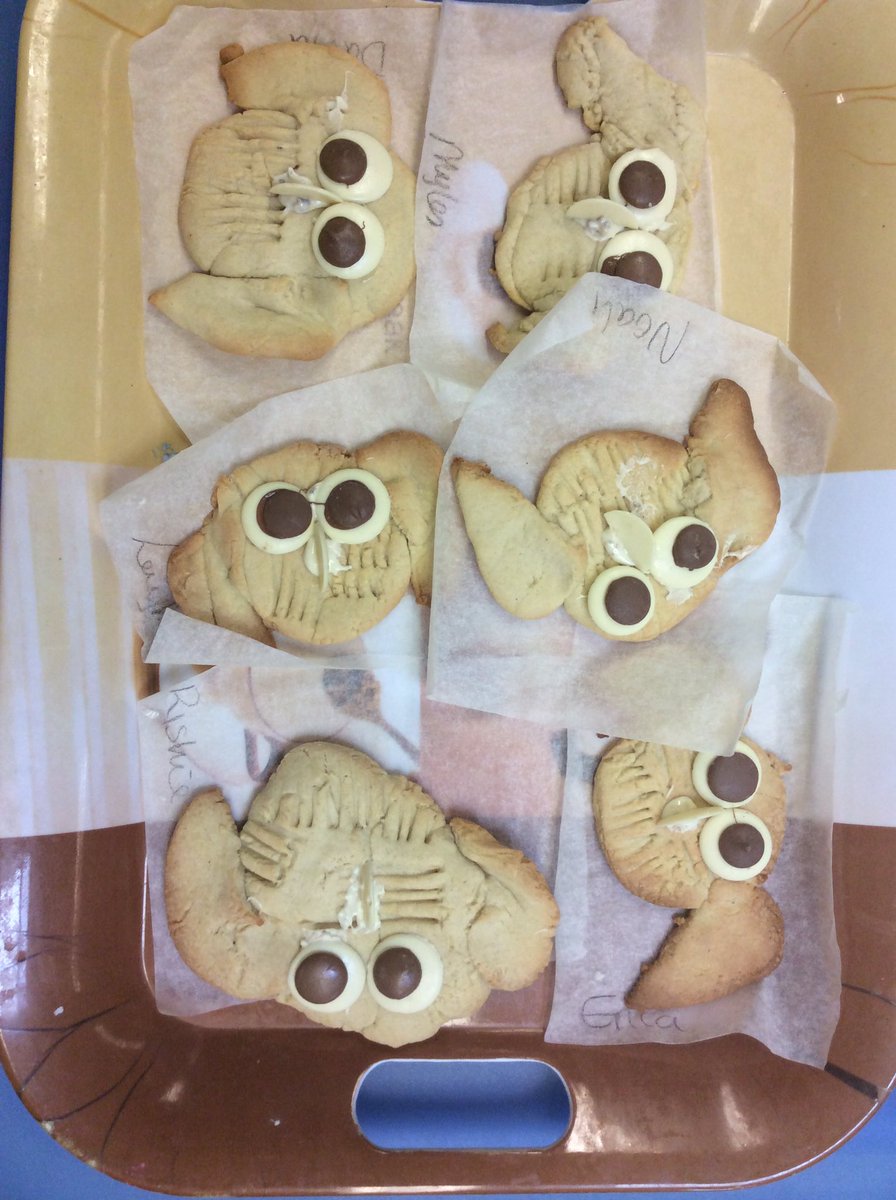 Withington_hfds's tweet photo. Inside the children made owl biscuits. #naturestudy #owlweek #earlyyears #hedgehogclass https://t.co/GluiGDMAyZ