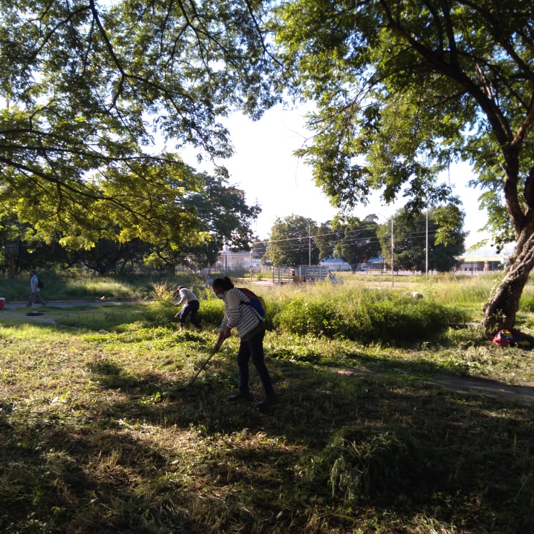 johanitakenpo's tweet photo. #15Sep | Trabajamos en el mantenimiento de las áreas verdes de la Av.Intercomunal Santiago Mariño tal y como lo orientó el Gob.@MarcoTorresPSUV bajo el plan "Derecho a la Ciudad", reitero el llamado al pueblo a no arrojar desechos y a cuidar nuestros espacios #LaVerdadDeVenezuela https://t.co/vLVbh0lWtn