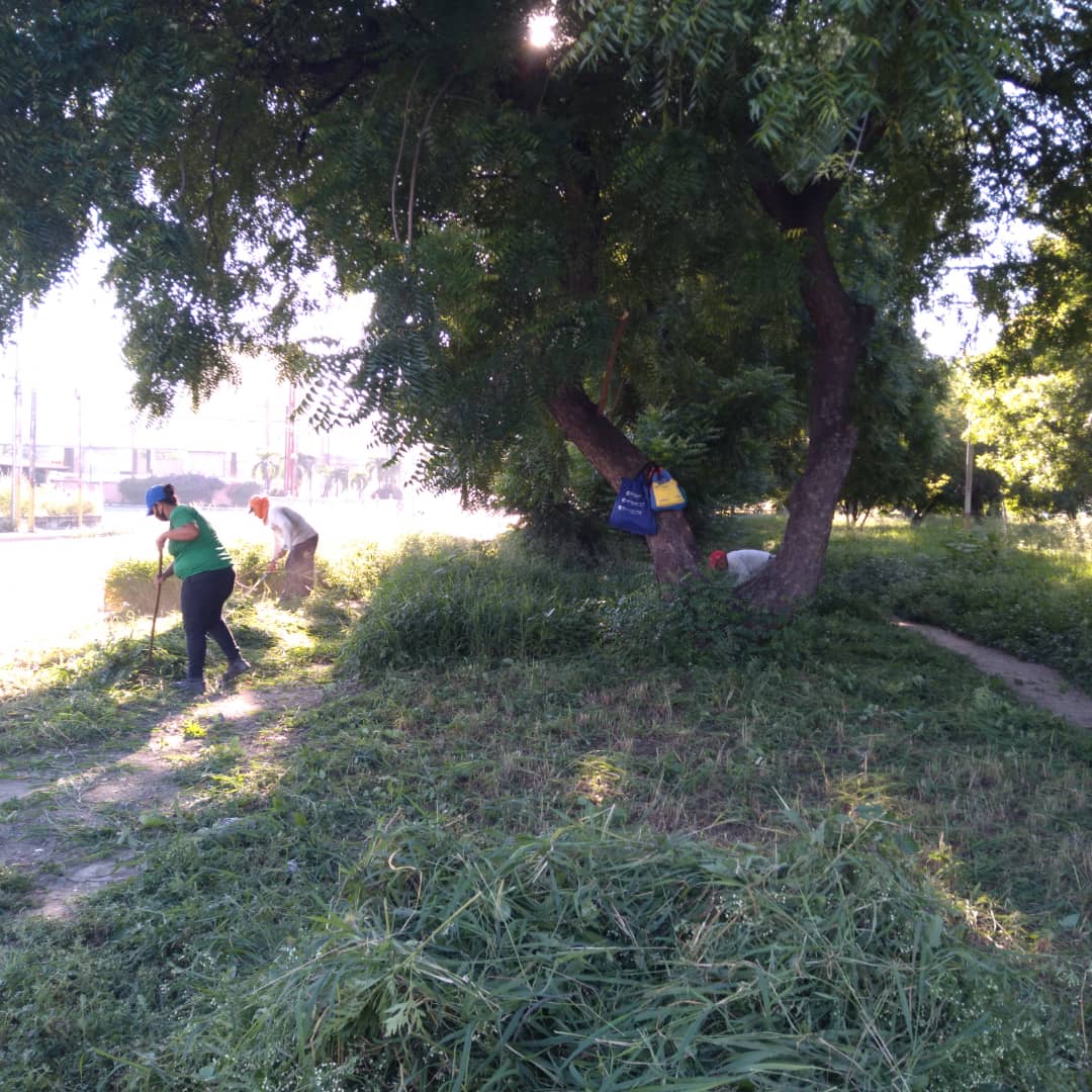johanitakenpo's tweet photo. #15Sep | Trabajamos en el mantenimiento de las áreas verdes de la Av.Intercomunal Santiago Mariño tal y como lo orientó el Gob.@MarcoTorresPSUV bajo el plan "Derecho a la Ciudad", reitero el llamado al pueblo a no arrojar desechos y a cuidar nuestros espacios #LaVerdadDeVenezuela https://t.co/vLVbh0lWtn