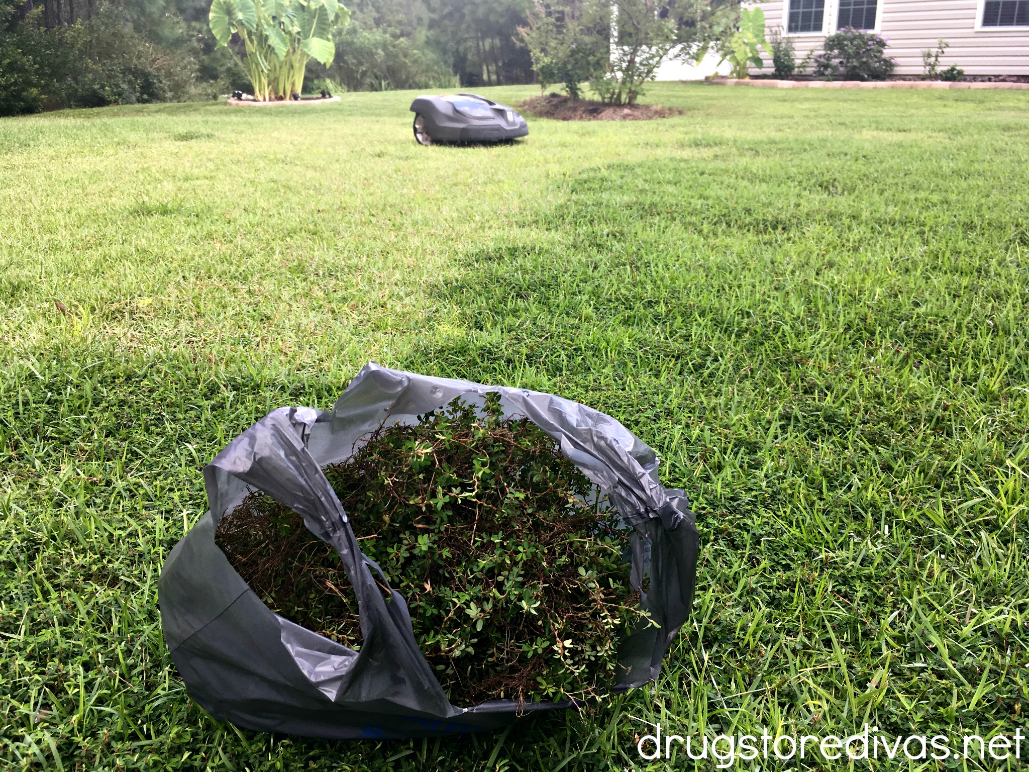 A bag of weeds in the front of the photo with an automower mowing the lawn in the back.