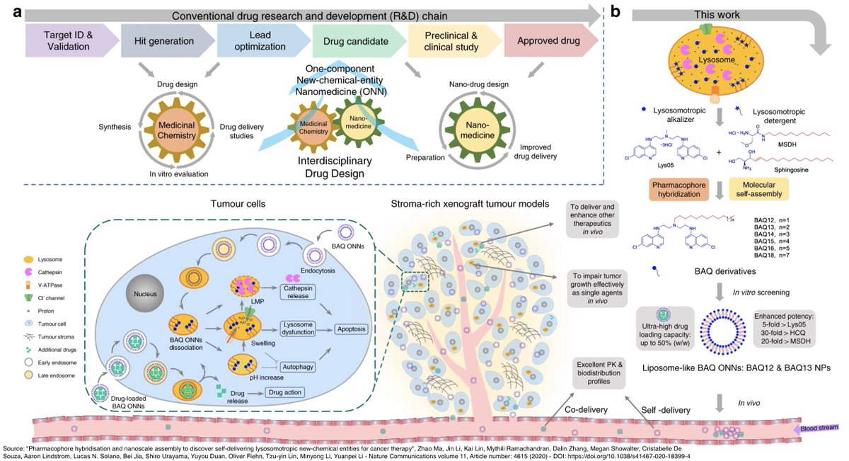 #Nanomedicine: researchers designed a new strategy combining pharmacophore hybridisation and molecular self-assembly to synthesize single-drug nanoparticles. The nanoagents demonstrated excellent pharmacokinetic properties and dramatic #antitumour efficacy doi.org/10.1038/s41467…