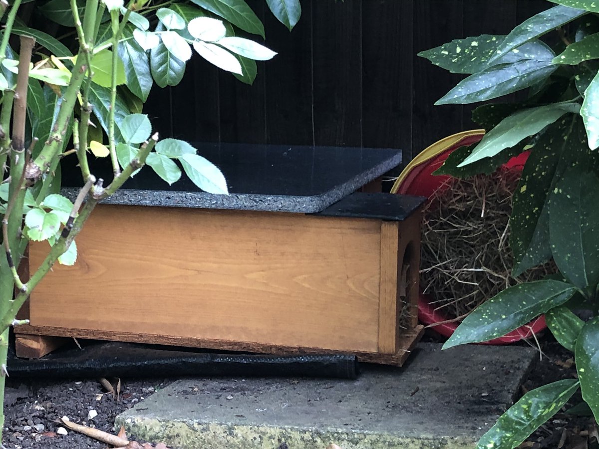 The Hedgehog Restaurant has now expanded to include a hotel. Set up as per @HedgehogCabin instructions. I would have got it wrong without them so  a big thank you. #savethehedgehogs #hedgehogs