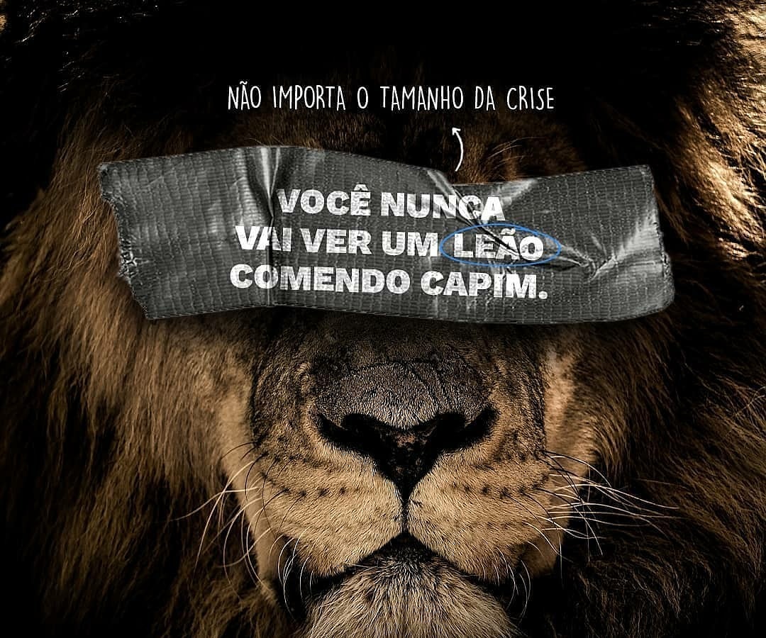 RamosPansica's tweet photo. Filipenses 4:13 
Posso todas as coisas em Cristo que me fortalece. https://t.co/eoi1phfqj7