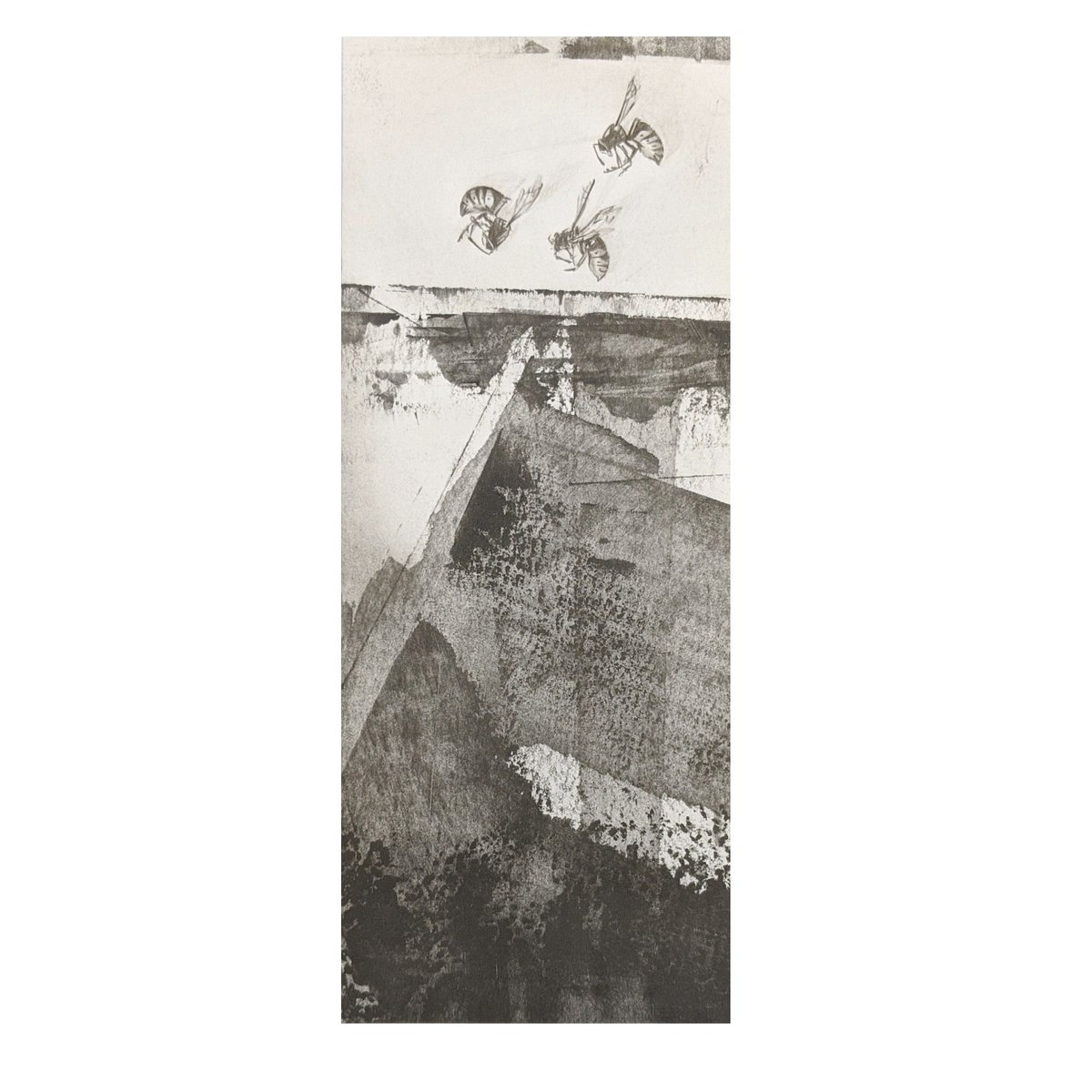 Louisa_Crispin's tweet image. #trimtuesday ... has it been a week already?
.
8 * 20cm
.
#trimmings #offcuts #remnant #remains #bitsnpieces #trim #cut #discarded #waste #discard #studiotime #cropping #studioatthetopofthegarden #discarded_butnot_forgotten #worksonpaper #workinprogress  #graphitedrawing