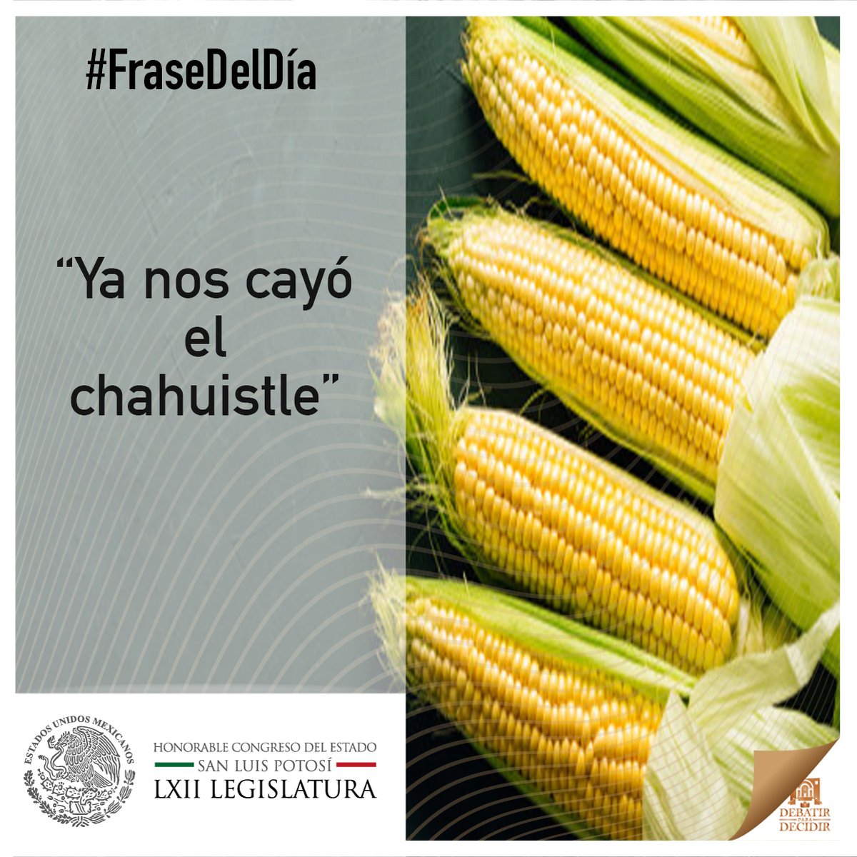 CongresoEdoSLP's tweet photo. #FrasesDeMexicanos 

Sabías qué en México, se le nombra #chahuistle a una enfermedad  que afecta a los cultivos del maíz.
En la época prehispánica el hongo invadía sus cosechas y así surge la expresión, para referirse a una situación desagradable.
#MesPatrio 🇲🇽 https://t.co/ATQZ98Id3h