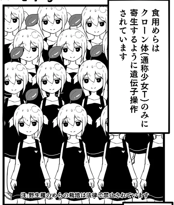 10/10(土)開催のりょなけっとvsABCD!にてサークル ふあふあたいむ 様頒布の「めらころ合同」に寄稿しました。
4pの中にかわいさをギュッと詰めたお話がかけたと思います(๑╹ω╹๑ )
よろしくお願いします。 