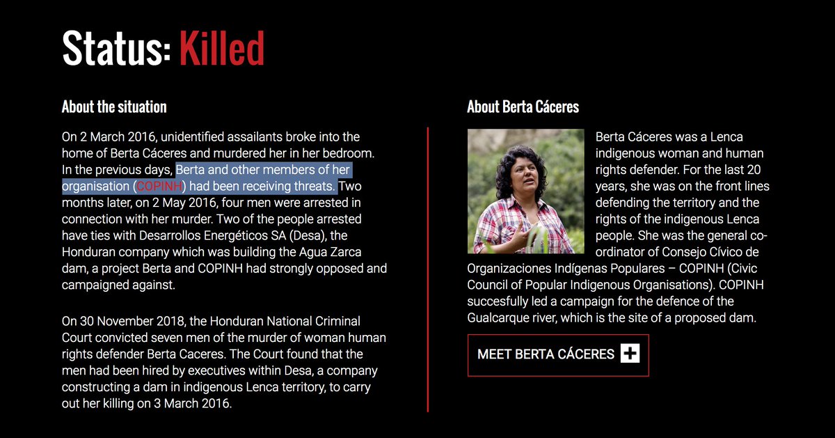 Vulnerable activists who sometimes get murdered IRL after receiving threats from the same fake accounts.  https://www.frontlinedefenders.org/en/case/case-history-berta-c%C3%A1ceresWhat responsibility do social media companies have in enabling this? It's not just "fake likes" and to Honduran citizens it is absolutely a threat.