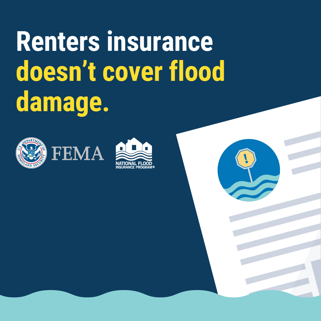scdoi's tweet photo. Did you know it is #NationalPreparednessMonth?

Since disasters don’t wait, make your plan today. Prepare for the hidden flood risks around your home with flood insurance. 

Visit https://t.co/ihw2qCF921 or  https://t.co/yDUsZez3tJ to learn more. 

#SCTweets #FloodSmart #BeReady https://t.co/vy6THZ9cgm
