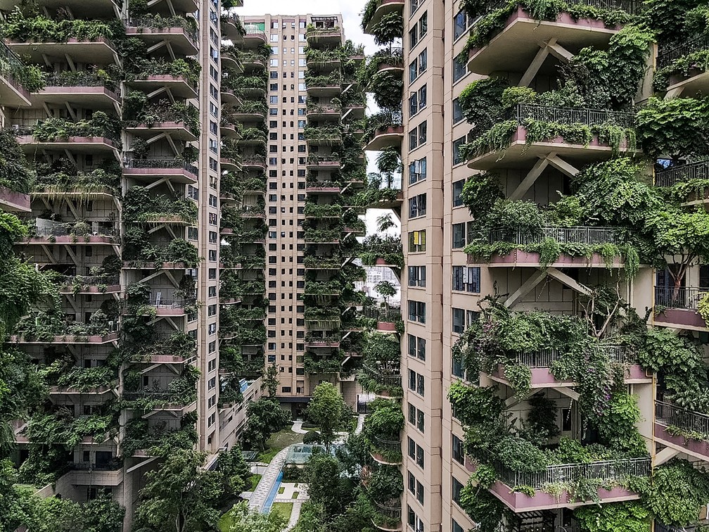 g1's tweet photo. Plantas 'invadem' prédios na China e fazem moradores abandonarem imóveis 😮 https://t.co/ndZsBoeIzu #G1 https://t.co/oeEuiSehFt