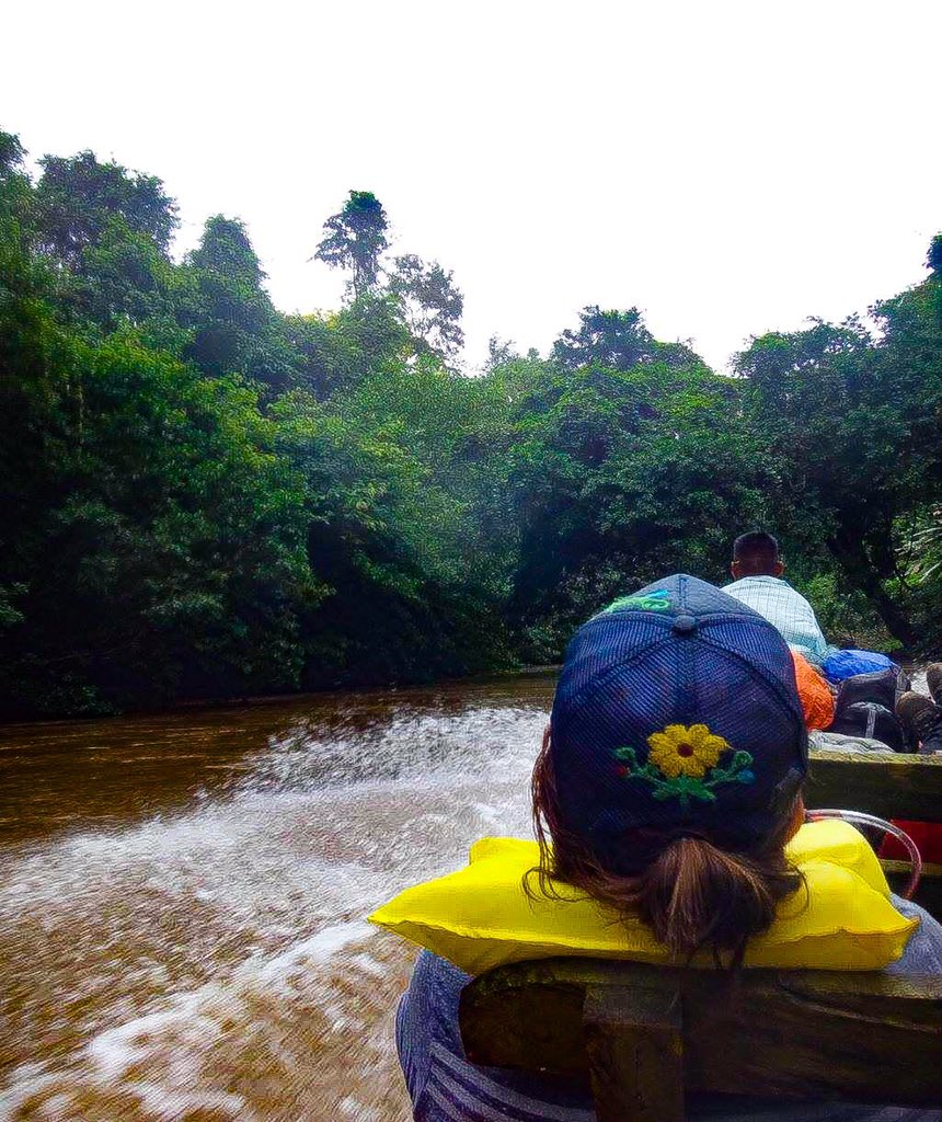 tguarumo's tweet photo. Buen día tuiteros amantes de la naturaleza. ¿Cuál es el lugar de Panamá que más extrañan visitar? A nosotros se nos ocurren mil pero Palo de Letras, Darién ¡tiene un lugar especial! Comparte aquí tu/s fotos usando el hashtag #guarumochallenge #Panamá #Senderismo #TurismoInterno https://t.co/ic030humvB