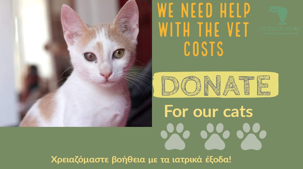 CatRescueAthens's tweet photo. 🆘Η ομάδα μας σας χρειάζεται!
⚠️Χρειαζόμαστε επειγόντως βοήθεια με τα κτηνιατρικά έξοδα!

Αυτή τη στιγμή χρωστάμε ένα τεράστιο ποσό στην κλινική στην οποία νοσηλεύονται τα περιστατικά μας. https://t.co/2FexfgNEaG