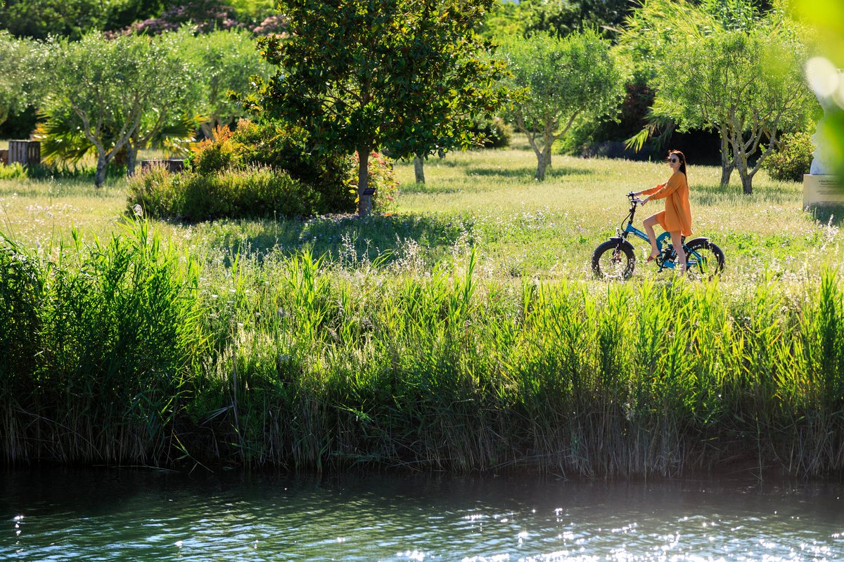 MandelieuOTC's tweet photo. Appréciez le calme et la sérénité des berges de Siagne.
Un instant nature pour vous ressourcer !
📸Camille Moirenc
#Mandelieutourisme #Mandelieusportparnature #MandelieuSecrèteEtIntense #étéindien #CotedAzurFrance #SEvader #Nature #Bouger #Respirer #Changezdedécor https://t.co/dTITwHdMjI